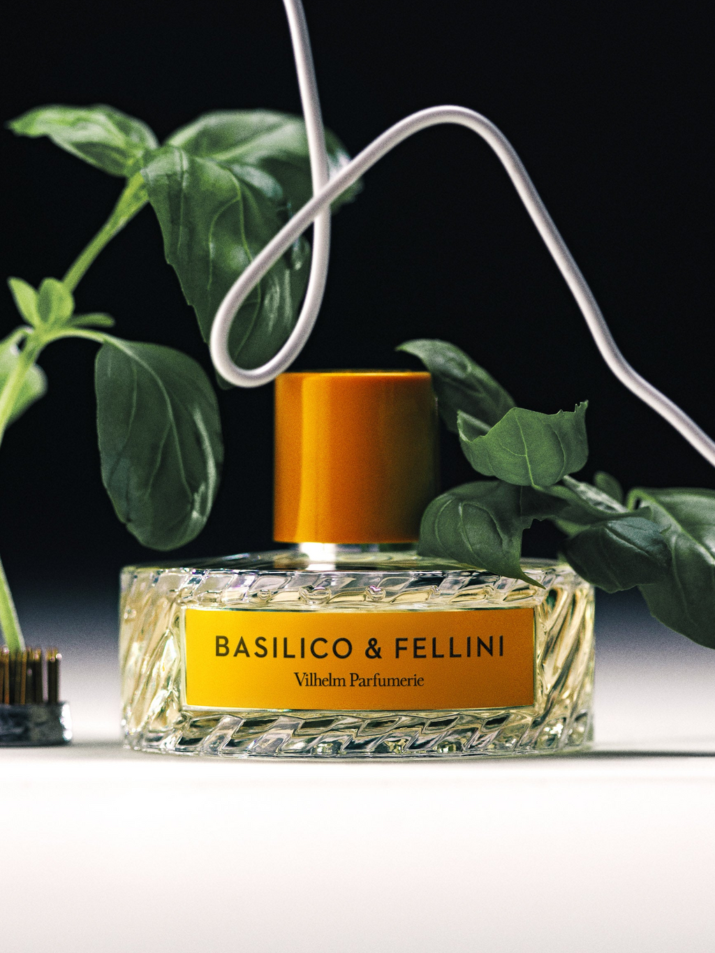 Basilico & Fellini Vilhelm - ambientazione